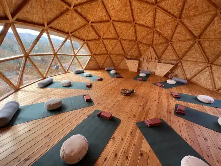 From Burnout to Bioregulation: The Making of the Reverse Aging Challenge