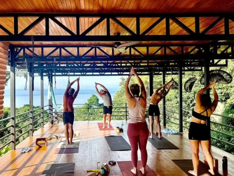 Soul Alive Retreats: Why the Nervous System Craves a ‘Safe Space’