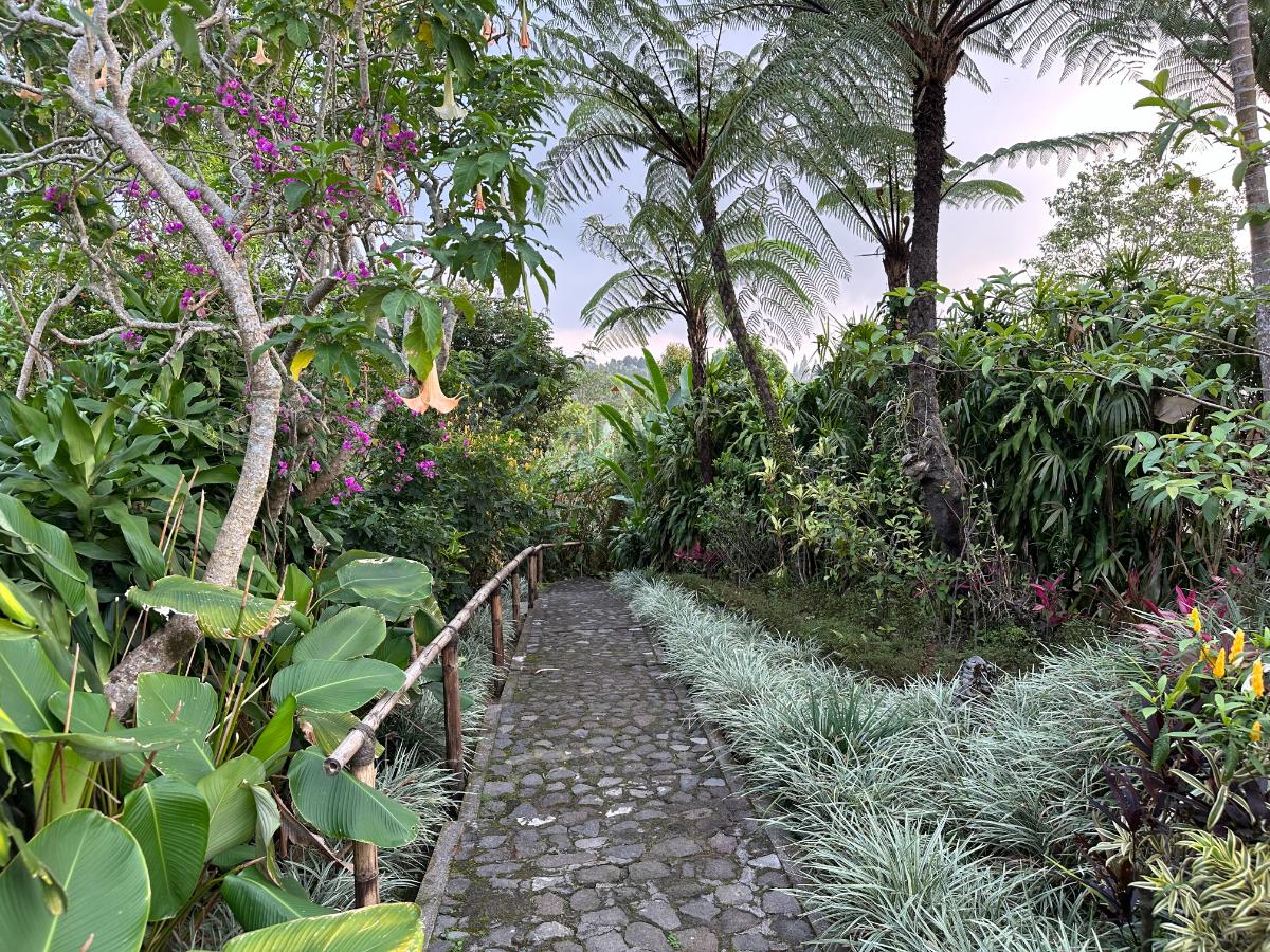 Villeneingang und private Tauchpool-Terrasse der Munduk Moding Plantation Bali mit Teakholzmöbeln und Dschungelgarten-Kulisse