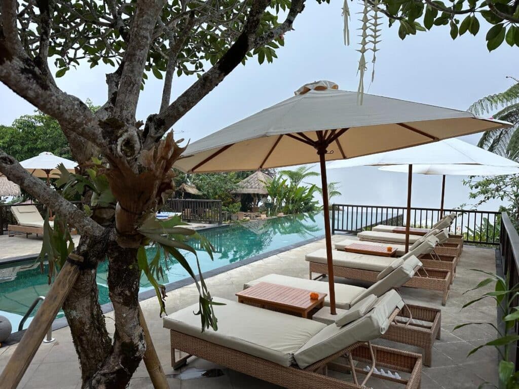 Hauptpoolbereich der Munduk Moding Plantation Bali mit Sonnenliegen und Sonnenschirmen unter einem knorrigen Frangipanibaum