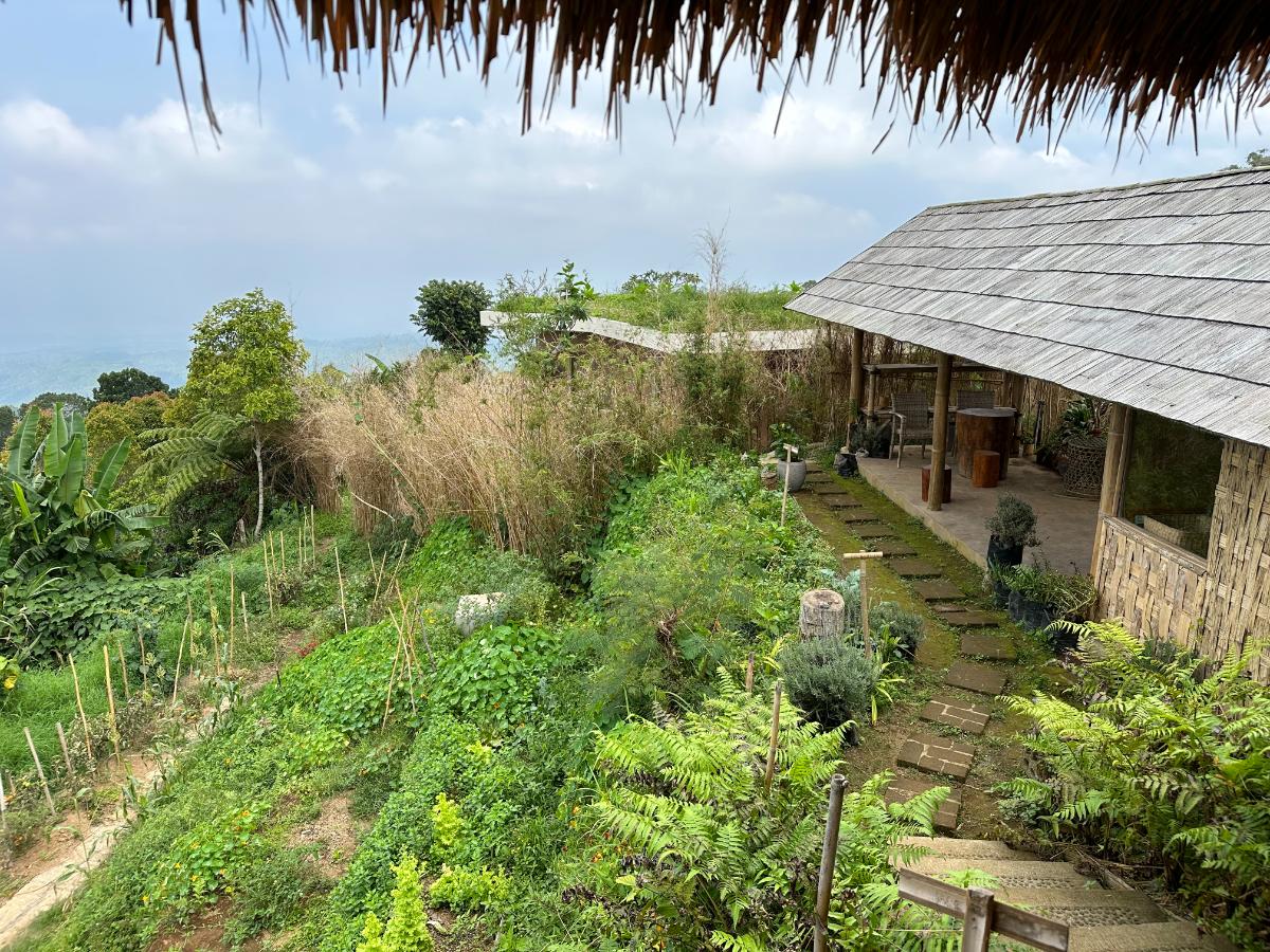 Spa-Bereich auf der Hügelkuppe der Munduk Moding Plantation Bali mit kuppelförmigen Behandlungspavillons und Pool im Morgennebel