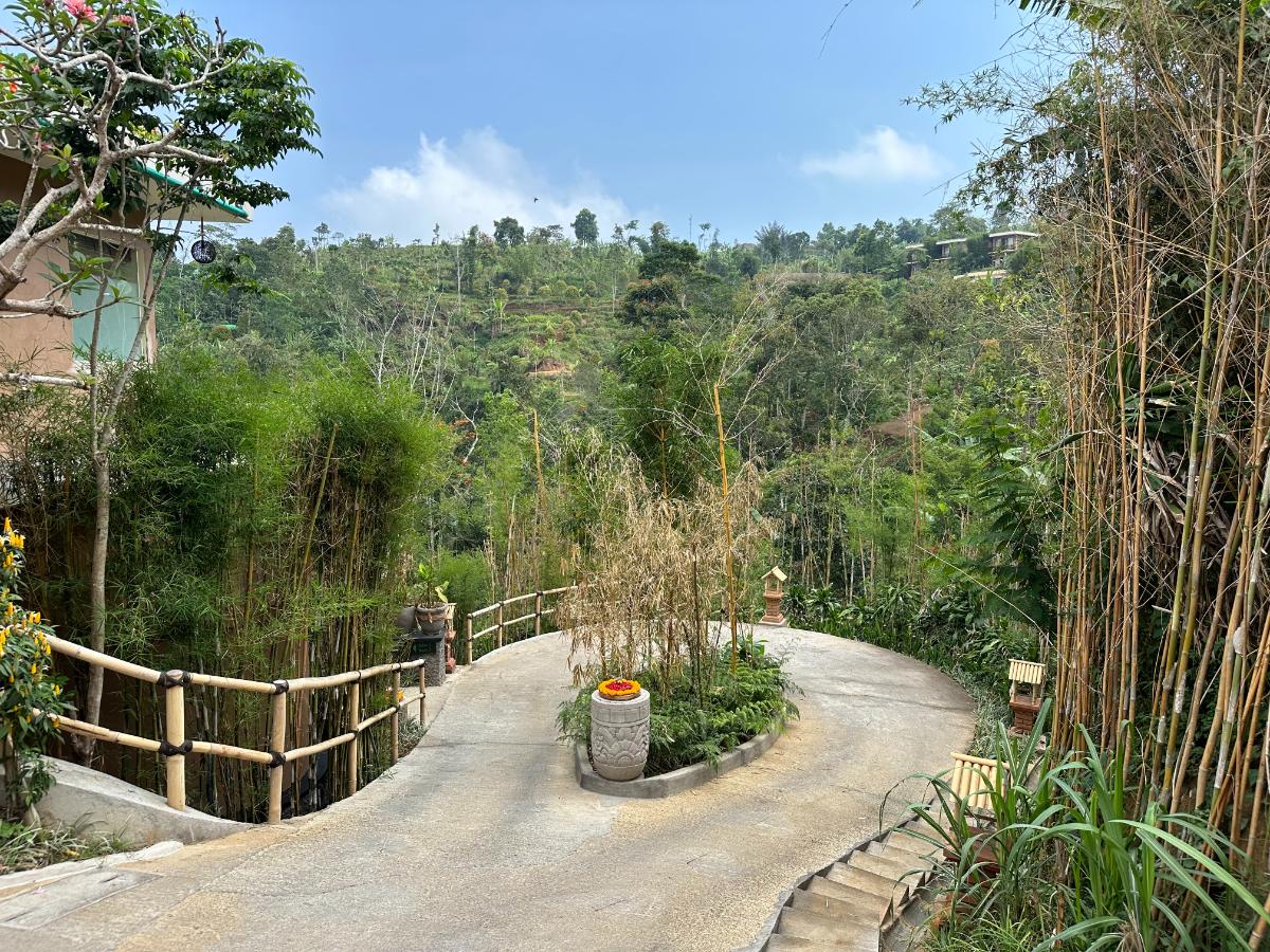 Terrassierter Kräuter- und Gemüsegarten am Hang der Munduk Moding Plantation Bali mit Blick ins Tal