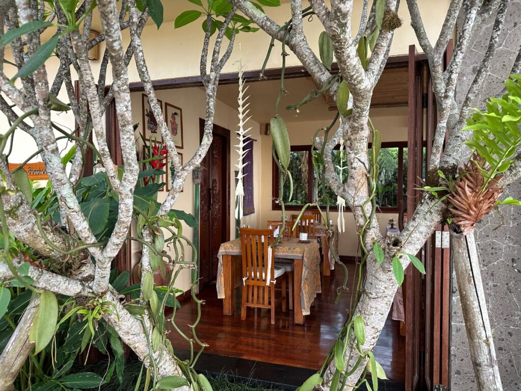 Restaurantaußenansicht der Munduk Moding Plantation Bali eingerahmt durch sich windende Frangipanizweige und tropische Ranken