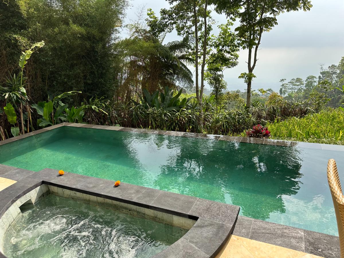 Gartenweg der Villa mit tropischer Bepflanzung und grünem privaten Pool in der Munduk Moding Plantation Bali