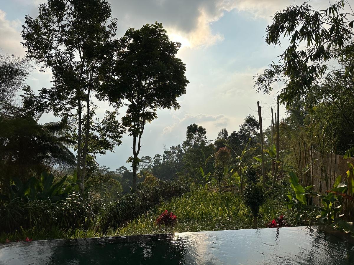 Innenraumübersicht der Villa in der Munduk Moding Plantation Bali mit offenem Wohnbereich und üppigem Hochlandgarten draußen