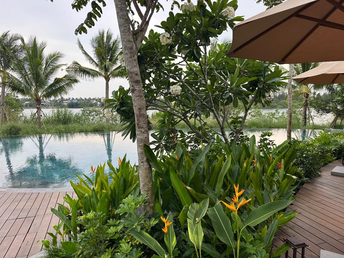 Infinity pool edge framed by heliconia and palms over the river, Namia River Retreat, Hoi An, Vietnam