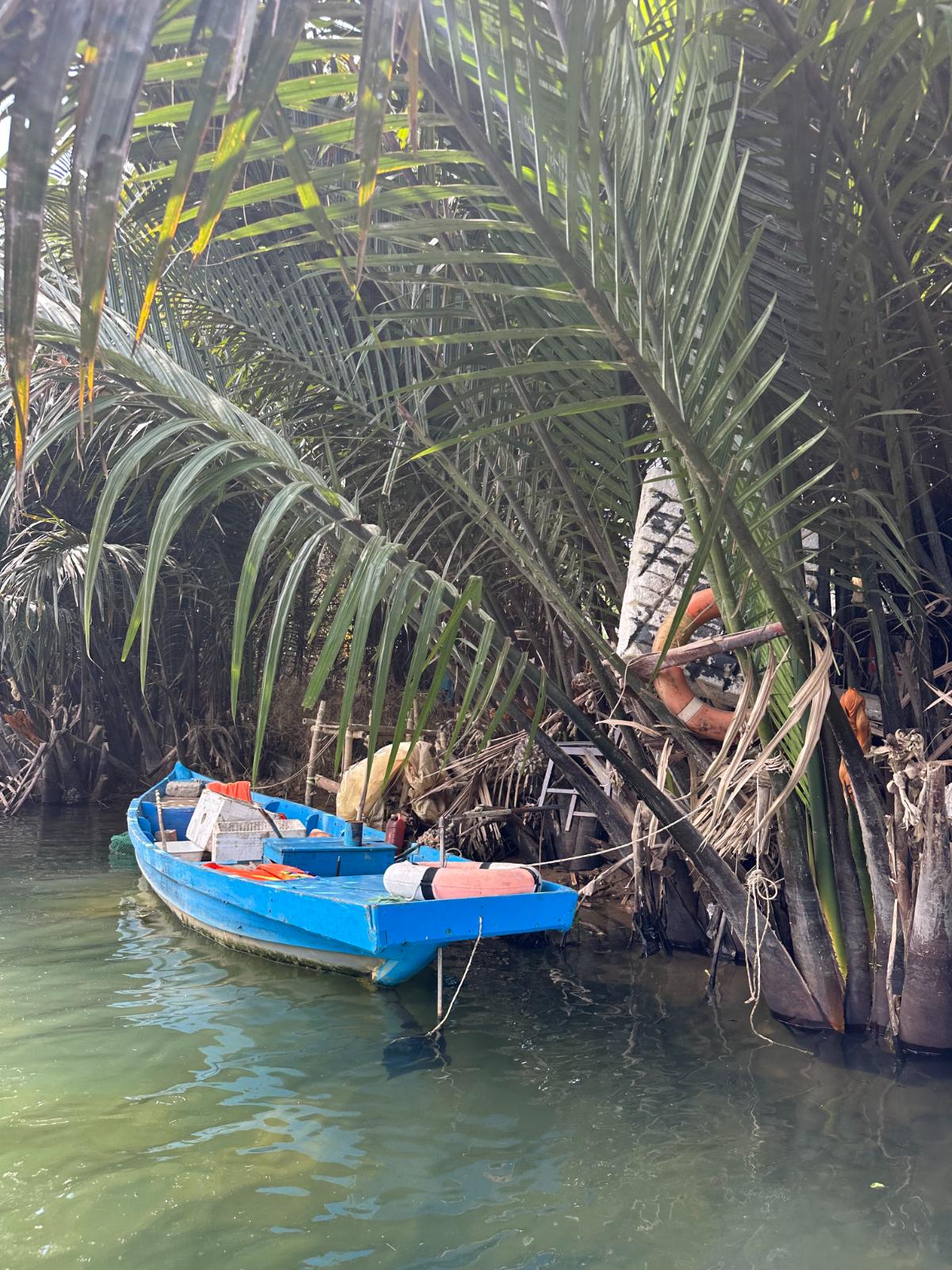 Blue wooden boat moored among nipa palms on the waterway, Namia River Retreat, Hoi An, Vietnam