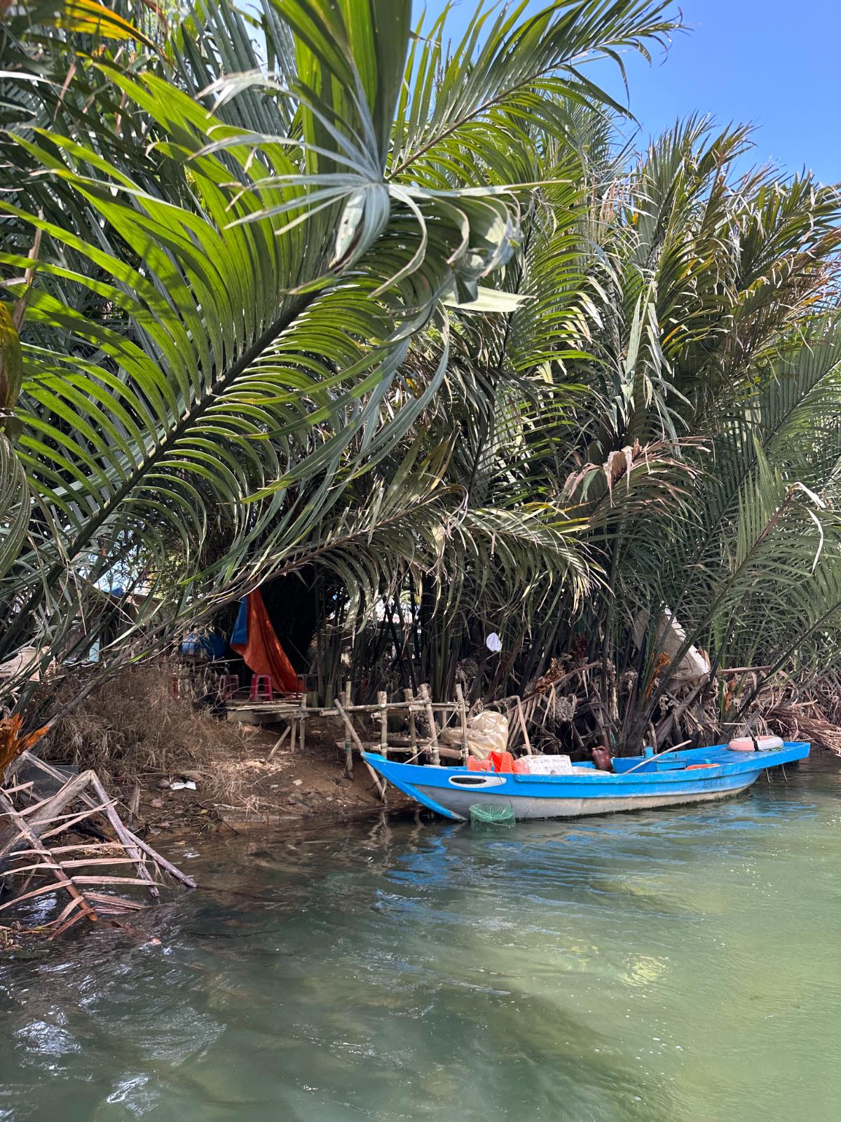 Nipa palm grove waterway seen from a basket boat, Namia River Retreat experience, Hoi An, Vietnam